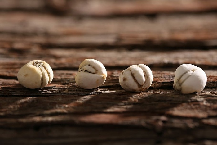 珍珠母、美食、中国风、食品、木材、食品和饮料、健康饮食、幸福