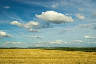 积雨云，草地，全景，大自然，穹顶，云，风景，云天