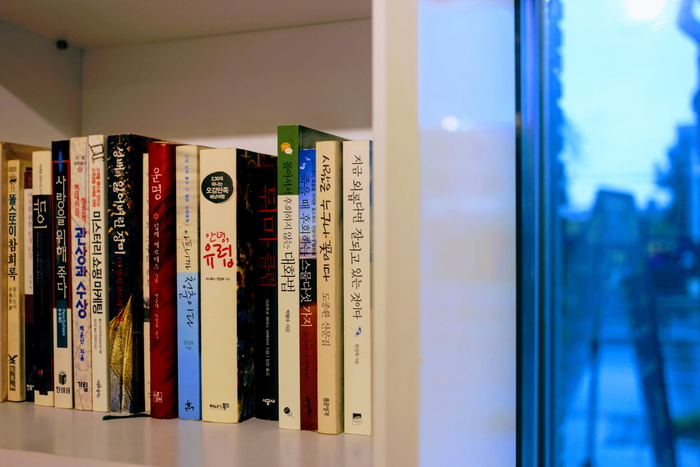 书架，教育，图书馆，书架，文学，出版物，书籍，室内