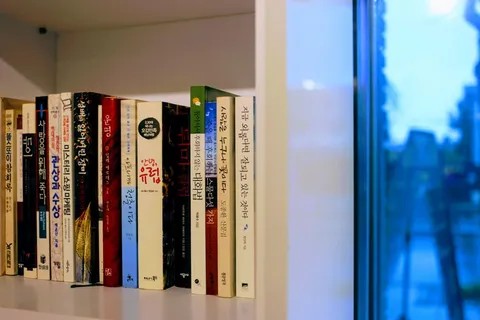 书架，教育，图书馆，书架，文学，出版物，书籍，室内