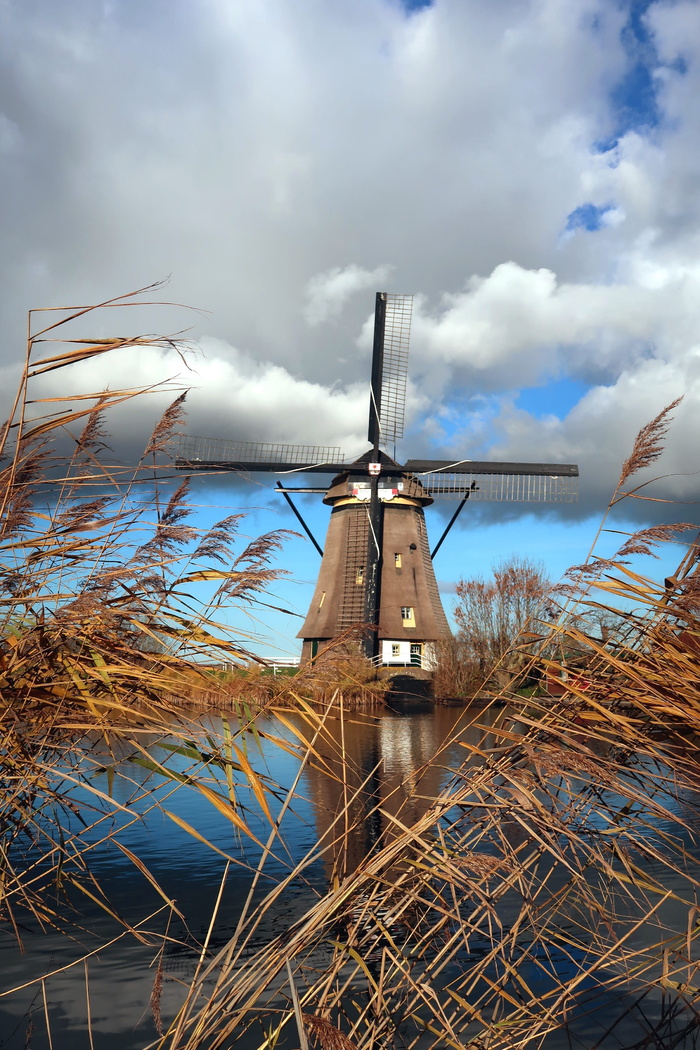kinderdijk，mill，荷兰，荷兰，wind mill，wicks，tourism，mills