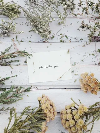 你好，你在白皮书上发短信了吗