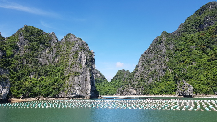 广宁，万东，越南，水，天空，山，树，风景-自然