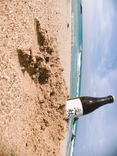 *，垦丁国家公园，夏天，大海，啤酒，秋天，海滩，天空