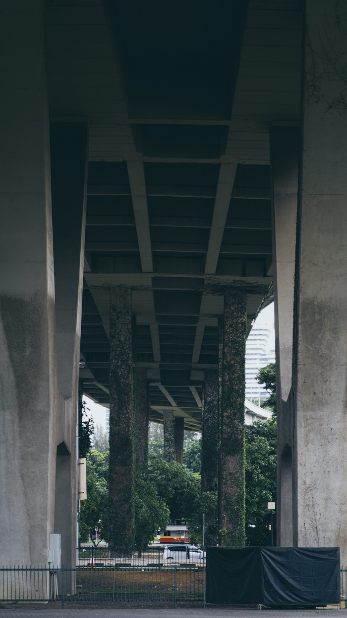 新加坡, 莱佛士大道, 公路, 城市, 街, 生态, 道路, 市