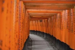 建筑、建筑、基础设施、结构、设施、橙色、橙色、宗教