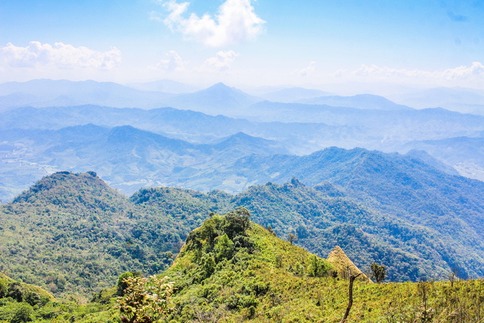 山景