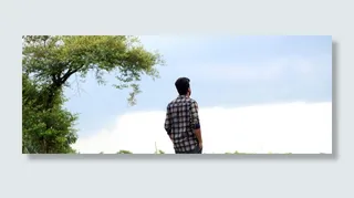 男子, 站在, 树, 孤独的男孩, 孤独, 悲伤, 孤独, 年轻