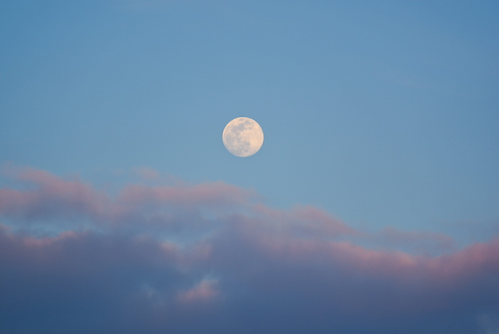 白月亮，自然，户外，太空，月亮，宇宙，夜晚，天文学
