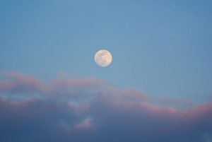 白月亮，自然，户外，太空，月亮，宇宙，夜晚，天文学