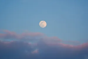 白月亮，自然，户外，太空，月亮，宇宙，夜晚，天文学