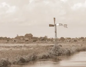 东弗里西亚、风车、风车、建筑、河流、乌贼、天空、植物