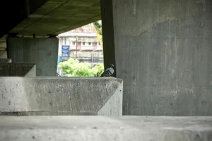 水泥上的鸟，鸟，风景，绿色，建筑，建筑结构，白天，没有人