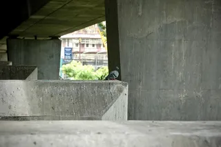 水泥上的鸟，鸟，风景，绿色，建筑，建筑结构，白天，没有人