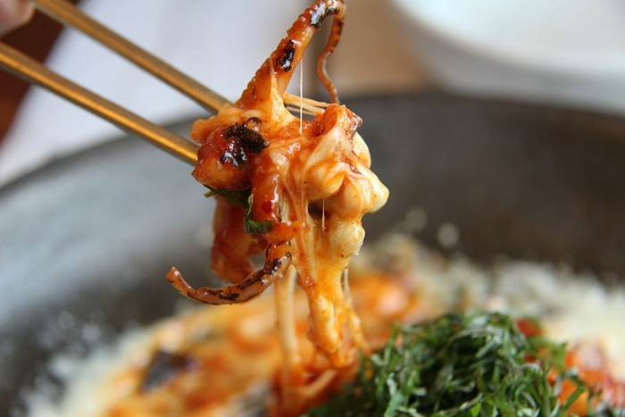 烹饪章鱼，烹饪，章鱼，搅拌，章鱼搅拌，奶酪菜，特写，海鲜