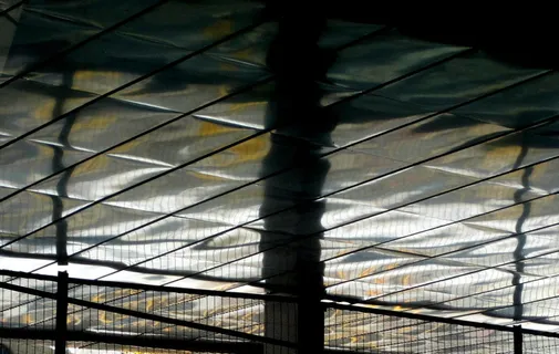 屋顶，有光泽，面板，矩形，反射，光，柱子，流体