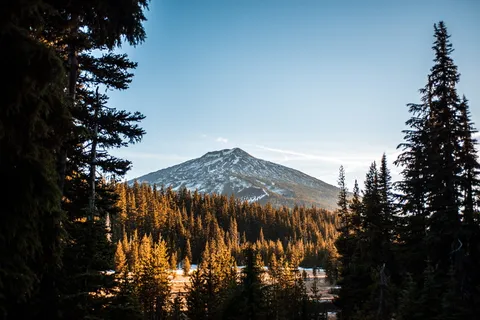 林地和山景 林地和山景