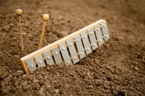 木琴、schalgstäbe、埋葬、土壤、田地、干燥、干旱、泥土