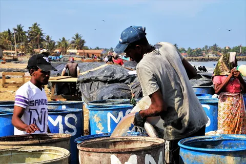 渔民们，两个，桶，工作，一个渔村，滚烫，海滩，海洋