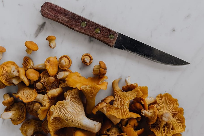 在树林里采蘑菇