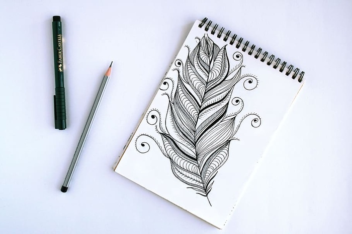 羽毛素描春书