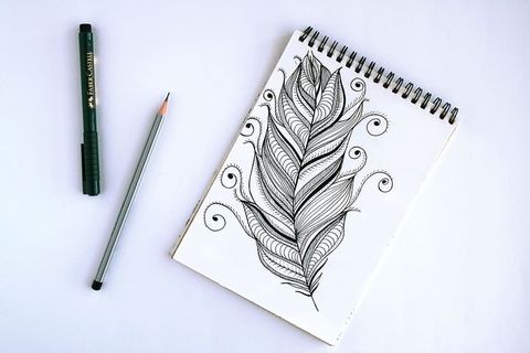 羽毛素描春书 羽毛素描春书