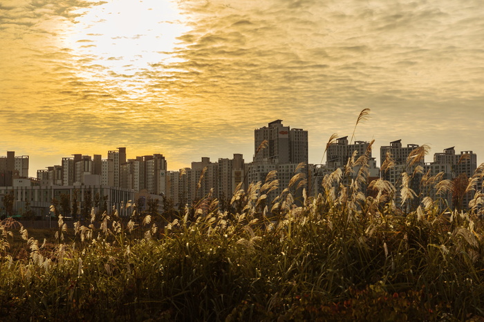 城市景观摄影，多云，天空，韩国，韩国，京畿道，旧金山，回声公园