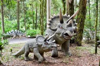 恐龙、机器人、侏罗纪、野生动物、动物、野生动物、动物主题、日