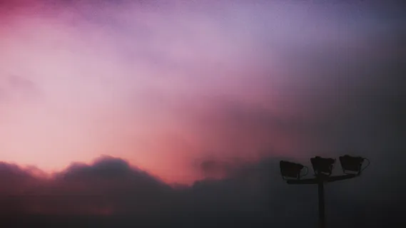 自然，户外，天空，天气，云，日落，飞行，动物