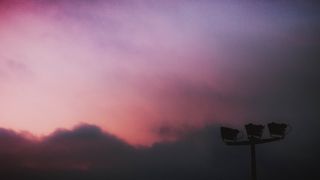 自然，户外，天空，天气，云，日落，飞行，动物