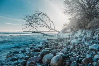 海滩、树枝、寒冷、日光、刺骨、霜冻、霜冻、冰冻