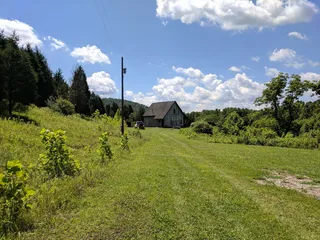 美国，维维，无处，森林，森林，小屋，荒野，树木