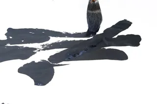 书法、书法、艺术家、艺术、创意、美食、毛笔、信件