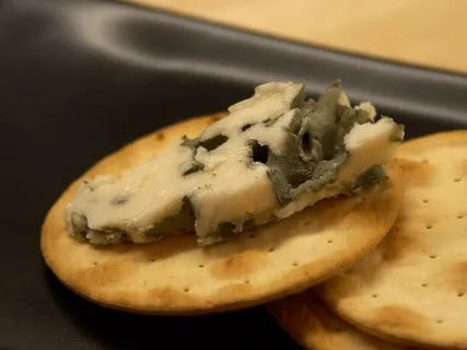roquefort,奶酪,蓝霉,霉菌,高贵霉,奶制品,食品,配料 roquefort,奶酪,蓝霉,霉菌,高贵霉,奶制品,食品,配料