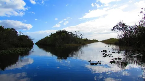 大沼泽地,迈阿密,风景,天空,沼泽,水,倒影,云天 大沼泽地,迈阿密,风景,天空,沼泽,水,倒影,云天