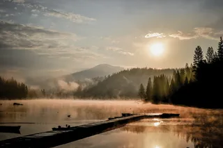 美国，休谟湖，雾，烟，太阳，树，博士，黄色