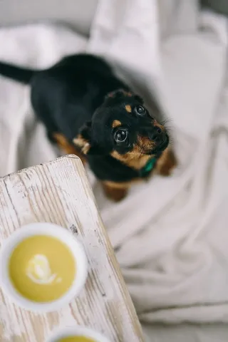 韭菜土豆汤配面包