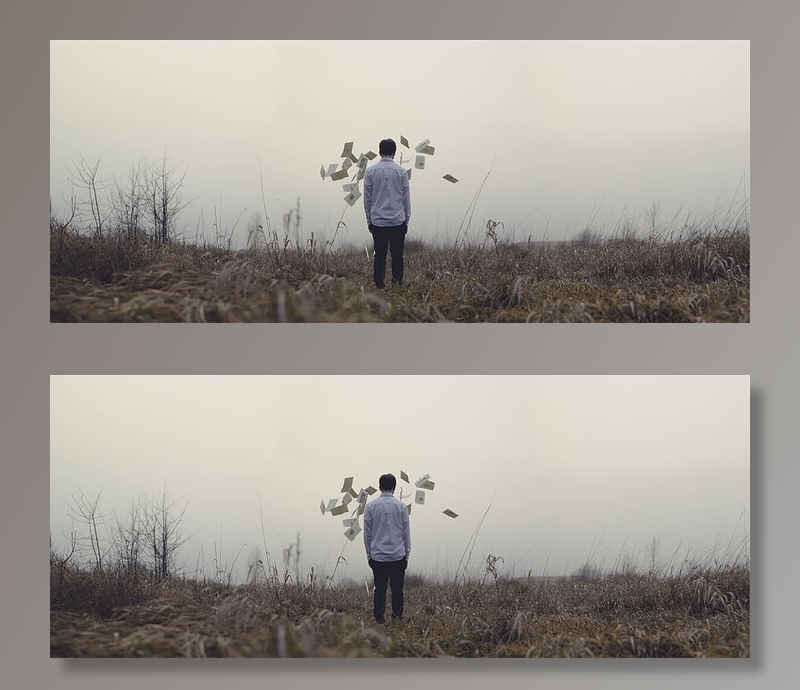 盖伊，伙计，报纸，田野，草地，雾，人们，站着