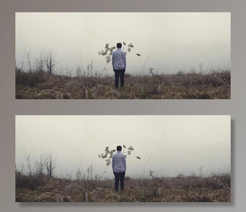 盖伊，伙计，报纸，田野，草地，雾，人们，站着