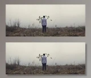 盖伊，伙计，报纸，田野，草地，雾，人们，站着