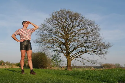 自然、草、树、天空、美丽的风景、视觉、徒步旅行、书籍地垒