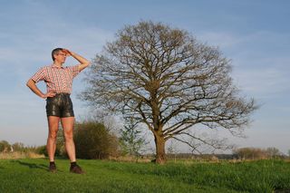 自然、草、树、天空、美丽的风景、视觉、徒步旅行、书籍地垒