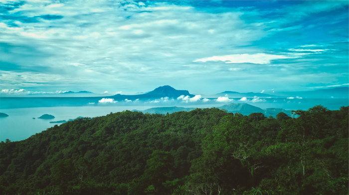 绿色，叶子，树，海，叶子，附近，山，白色