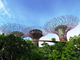 新加坡，花园，海湾，码头，海湾花园，旅游，亚洲，没有人