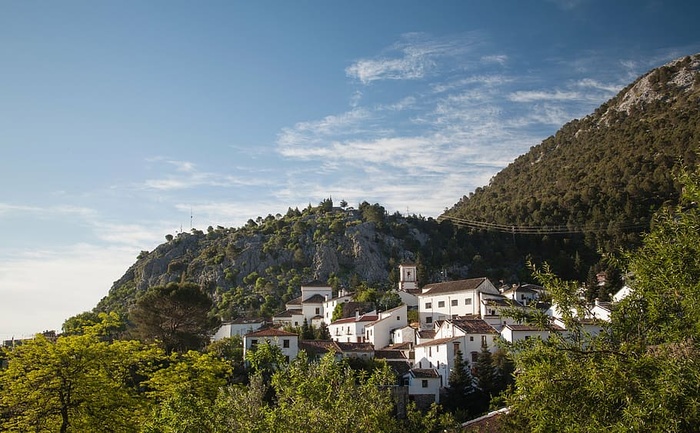 高角度摄影，白色，房屋，环绕，绿色，树叶，树木