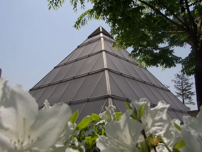 金字塔、花卉、建筑、平衡、和谐、形状、植物、低角度视图
