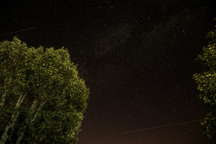 银河，夜晚，星星，射击，树木，黑暗，天空，自然