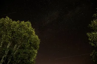 银河，夜晚，星星，射击，树木，黑暗，天空，自然
