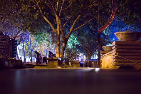 夜间、公园、旅行、照明、自然、长椅、夜间、室外