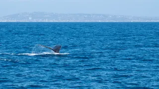 <!DOCTYPE html>
<html>
    <head>
        <title>文件“C:log.txt”正由另一进程使用，因此该进程无法访问此文件。</title>
        <meta name="viewport" content="width=device-width" />
        <style>
         body {font-fam